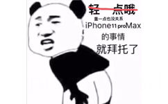 轻点哦重一点也没关系iPhone 1 1 proMax 的事情就拜托了