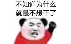 不知道为什么就是不想干了