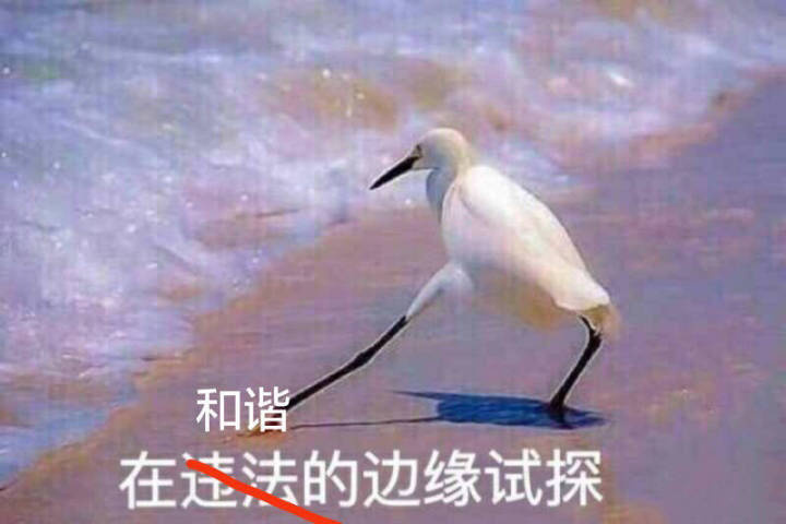 在逵法的边缘试探 - 海鸥沙滩试探系列合集