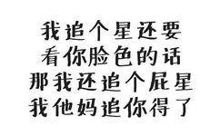 我追个星还要看你脸色的话那我还追个屁星我他妈追你得了 - 纯文字表情包精选