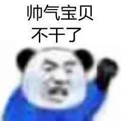 帅气宝贝不干了(熊猫头表情包)