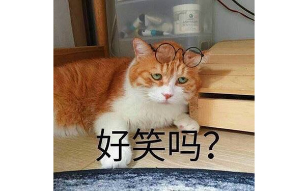 好笑吗? - 一组萌萌哒小猫咪表情包