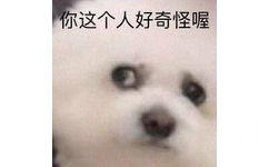 你这个人好奇怪喔