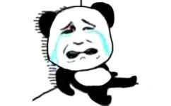 熊猫头墙角哭泣