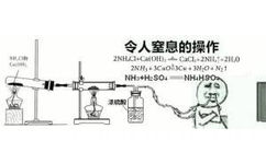 令人窒息的操作2NHA+Ca(OH Caci+,+,02N HI+3cno=3C1+3H:0- N1NHS+H:s04-nh4hsoa未鸡酸 - 令人XX的操作，化学专业必备