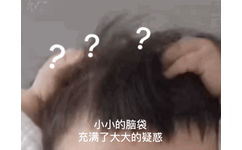 ????小小的脑袋充满了大大的疑惑