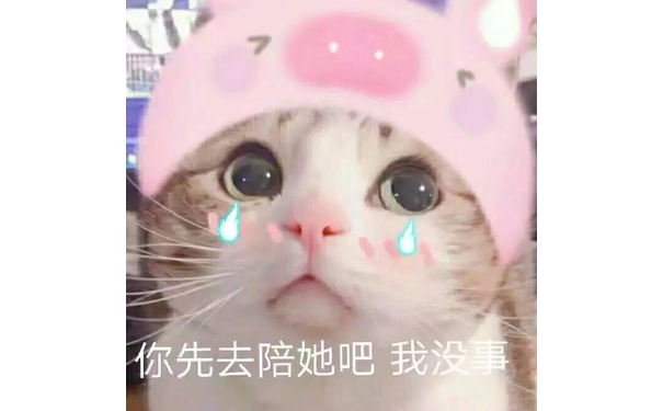 你先去陪她吧 我没事（猫咪）