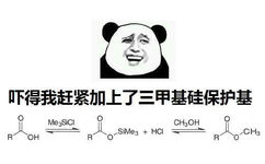 吓得我赶紧加上了三甲基硅保护基 - 化学系宝宝们专用表情包