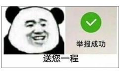 举报成功送您一程(熊猫头表情包)