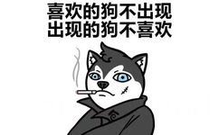 喜欢的狗不出现，出现的狗不喜欢 - 各种dog表情