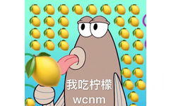 我吃柠檬WChm