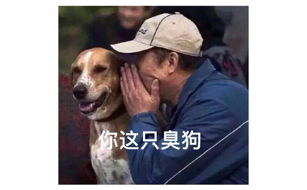 你这只臭狗(悄悄话)