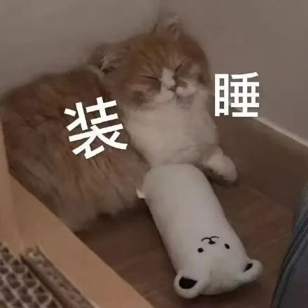 装睡 - 猫猫狗狗表情包