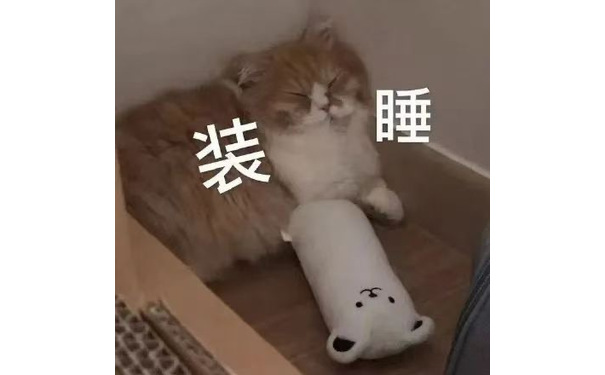 装睡 - 猫猫狗狗表情包