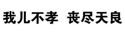 我儿不孝 丧尽天良 - 一波斗图必备纯文字表情