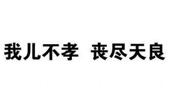 我儿不孝 丧尽天良 - 一波斗图必备纯文字表情