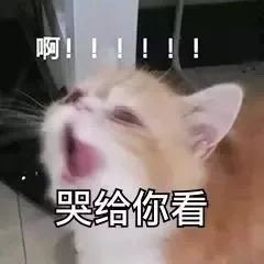 啊!!!!!!哭给你看(猫咪表情包)