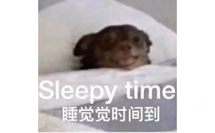 Sleepy time睡觉觉时间到