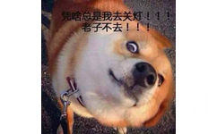  - 谁去关个灯啊[doge]