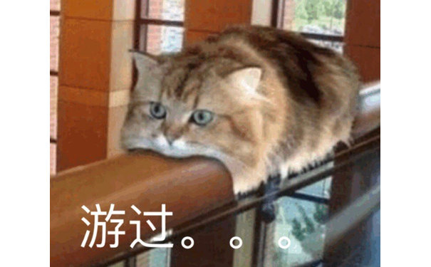 游过。。 - 一组可爱猫咪狗子表情包