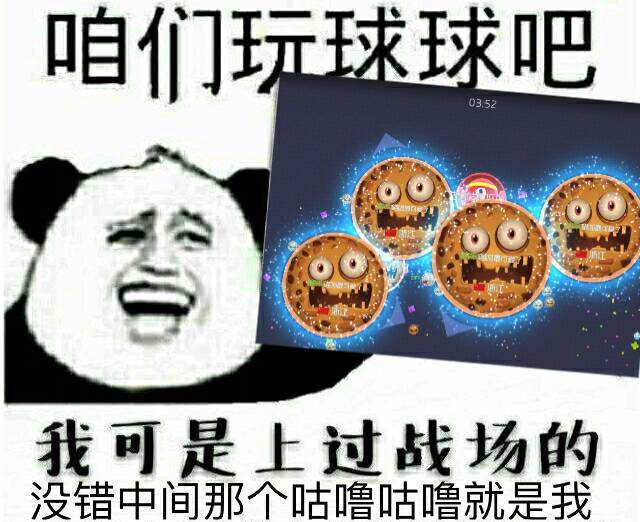 咱们玩球球吧，我可是上过战场的，没错中间那个咕噜咕噜就是我！（熊猫人）