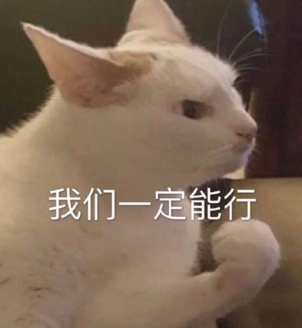 我们一定能行（猫咪表情包）