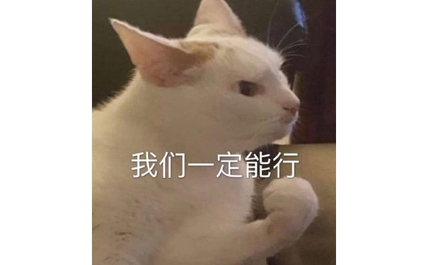 我们一定能行（猫咪表情包）