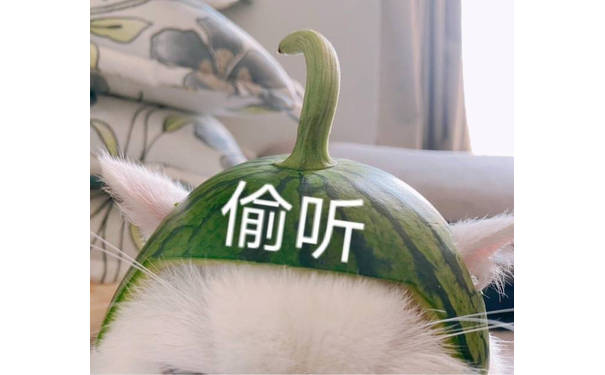 猫咪偷听