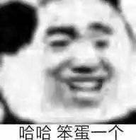 哈哈笨蛋一个