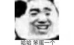 哈哈笨蛋一个