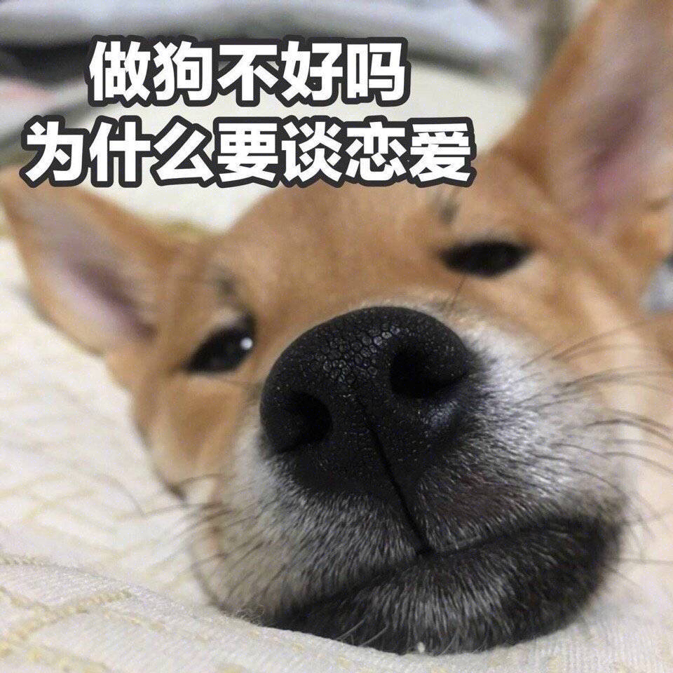 做狗不好吗 为什么要谈恋爱 - 单身狗 doge 表情包系列