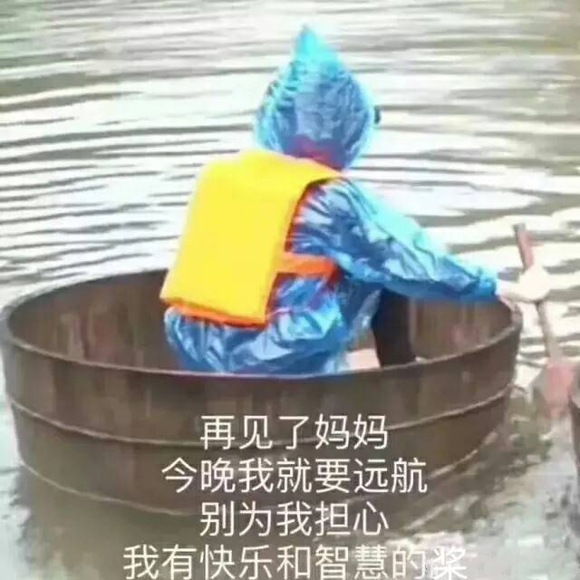 再见了妈妈，今晚我就要远航，别为我担心，我有快乐和智慧的桨