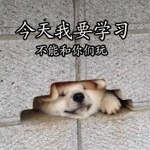 今天我要学习，不能和你们玩了 ​ - 做个爱学习的 doge