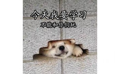 今天我要学习，不能和你们玩了 ​ - 做个爱学习的 doge