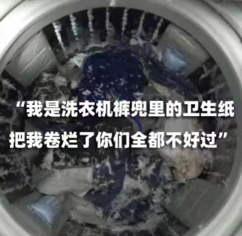 “我是洗衣机裤兜里的卫生纸把我卷烂了你们全都不好过