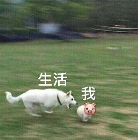 生活我 - 我与生活……