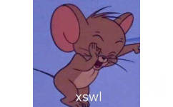 xswl（猫和老鼠杰瑞鼠表情包）