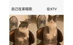 自己在家唱歌在kTV