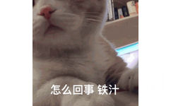 怎么回事，铁汁 - 猫咪动图表情包 ​