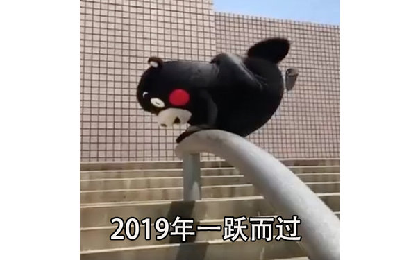 2019年一跃而过 - 元气满满地迎接2019年