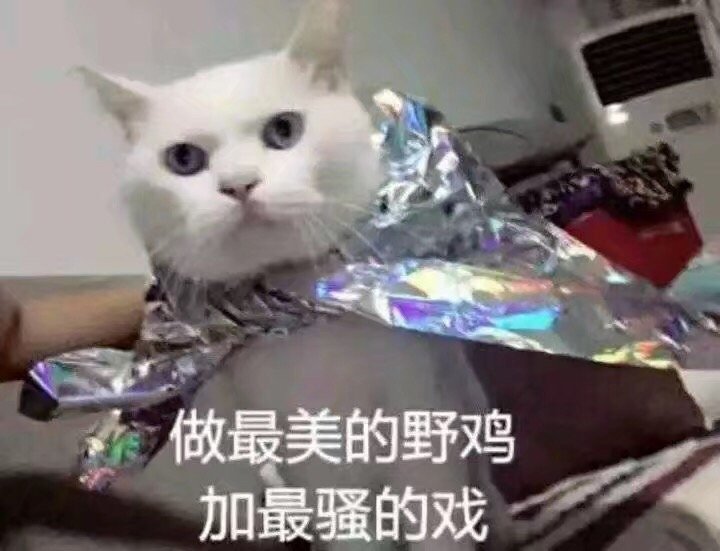 做最美的野鸡加最骚的戏(猫咪)