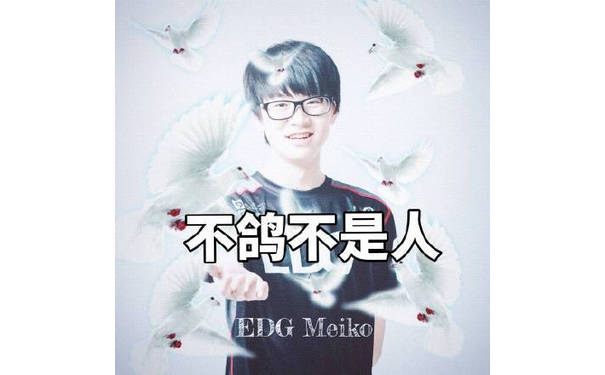 不鸽不是人FIG Meiko - meiko表情包系列