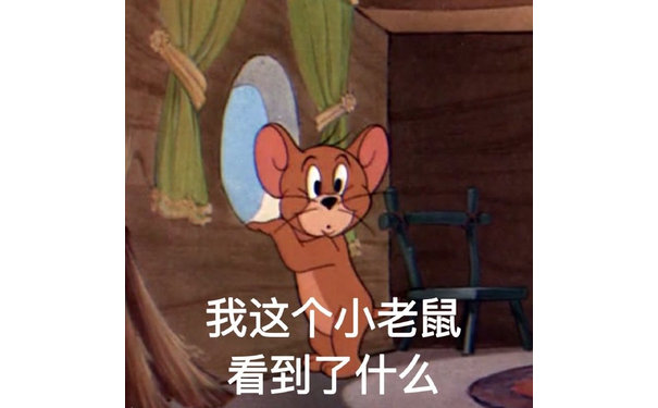 我这个小老鼠看到了什么（猫和老鼠杰瑞鼠）