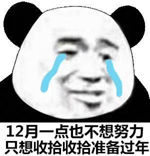 12月一点也不想努力只想收拾收拾准备过年(熊猫头表情包)