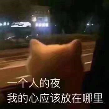 一个人的夜我的心应该放在哪里