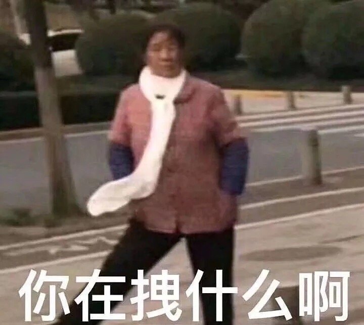 你在拽什么啊