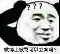 微博上被骂可以立案吗？（熊猫头表情包）