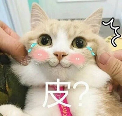 皮 - 一组萌萌的猫咪表情包  吸猫(=^o^=) ​