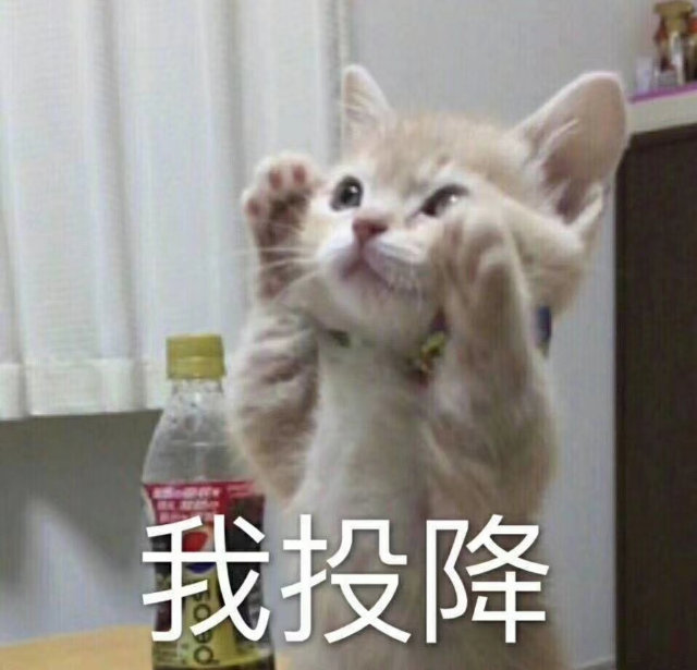 我投降(猫咪)