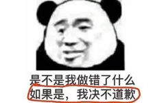 是不是我做错了什么如果是,我决不道歉(熊猫头表情包)